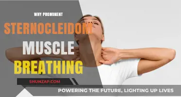 Breathing with Sternocleidomastoid Muscle: Why and How?