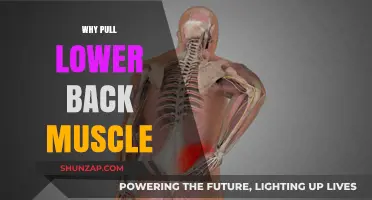 Understanding Causes and Prevention of Pulled Lower Back Muscles