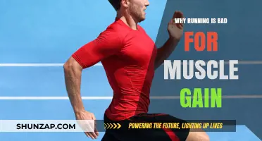 Running's Impact: How Endurance Training Hinders Muscle Growth Goals