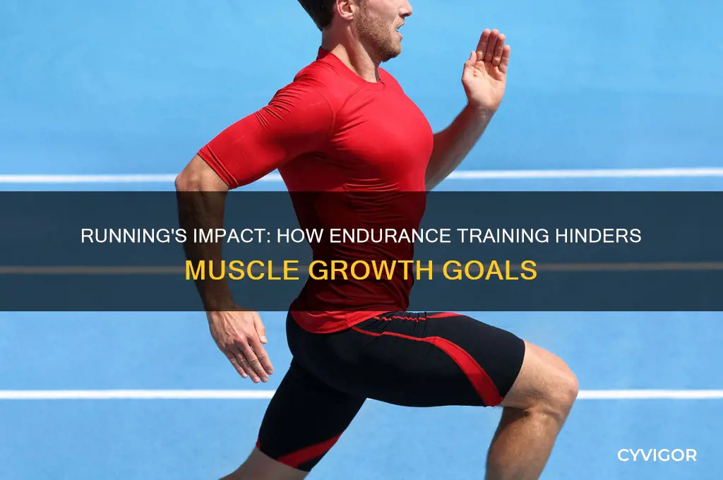 why running is bad for muscle gain