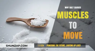 How Salt Triggers Muscle Contractions: The Science Behind Movement