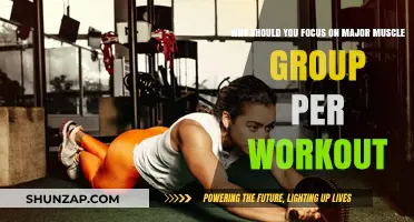 Maximize Gains: Target One Major Muscle Group Per Workout
