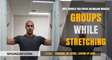 Target Major Muscle Groups: Enhance Flexibility and Prevent Injuries Effectively