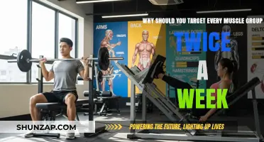 Maximize Gains: Train Every Muscle Group Twice Weekly for Optimal Results