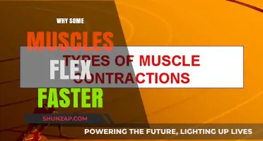 Muscle Flexing: Understanding the Speed of Growth