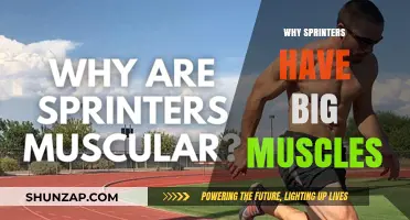 Sprinters' Muscles: Size and Performance