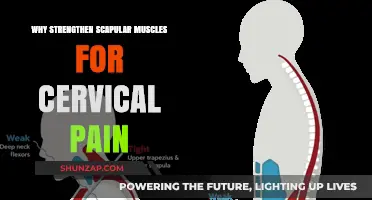 Strengthen Scapular Muscles: Relieve Cervical Pain and Improve Posture