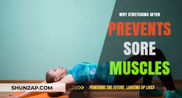 Stretch to Prevent Post-Workout Soreness: The Science Behind It