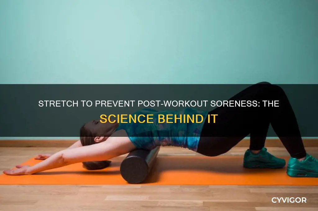 why stretching after prevents sore muscles
