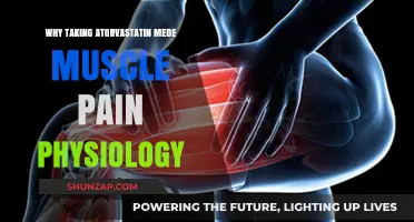 Atorvastatin and Muscle Pain: Understanding the Physiological Connection
