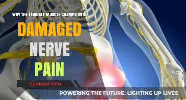 Unraveling the Link: Muscle Cramps and Damaged Nerve Pain Explained