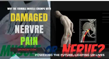 Understanding Muscle Cramps and Nerve Pain: Causes and Relief Strategies