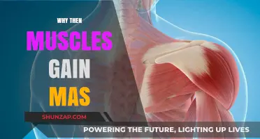 Unveiling the Science Behind Muscle Mass Gain and Growth