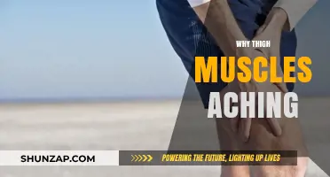 Thigh Muscle Aches: Understanding the Pain