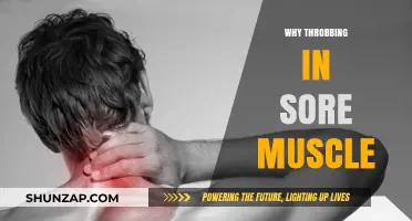 Why Sore Muscles Throb: Understanding Post-Workout Pain and Relief