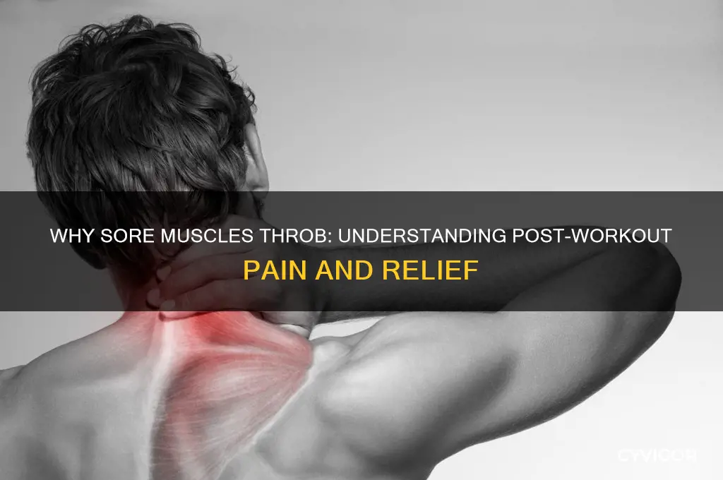 why throbbing in sore muscle