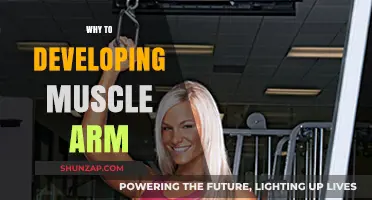 Build Stronger Arms: Benefits of Developing Muscle for Health and Strength