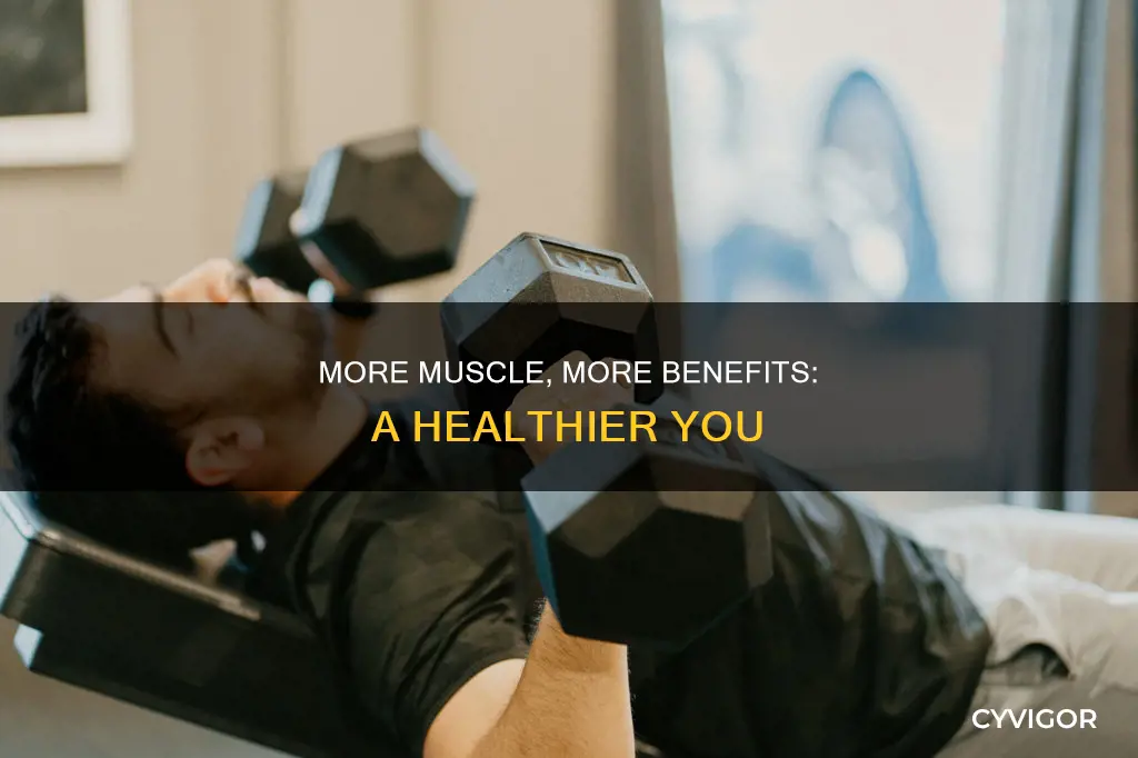 why to have more muscle