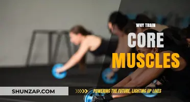 Core Training: Foundation of Fitness and Performance