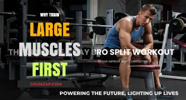 Large Muscle Training: First Things First