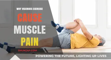 Understanding Muscle Pain: Why Vigorous Exercise Causes Soreness and Discomfort