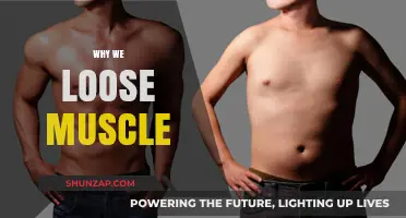 The Mystery of Muscle Loss: Why We Lose Muscle