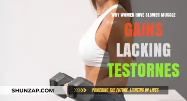 Why Women Build Muscle Slower: The Role of Testosterone