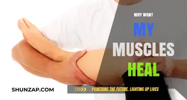 Muscle Recovery: Why Aren't My Muscles Healing?