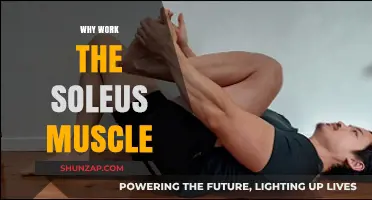 Unlocking Soleus Power: Benefits of Strengthening This Key Muscle