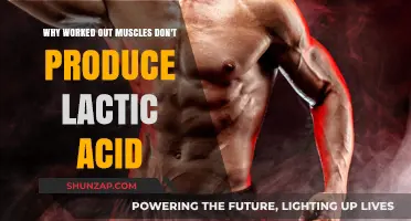 Debunking the Myth: Lactic Acid and Muscle Workouts Explained