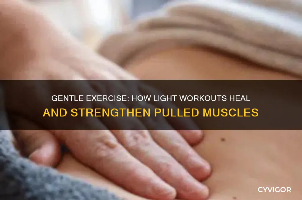 why working out lightly on pulled muscle makes it stronger