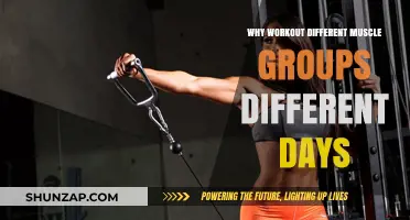 Maximize Gains: Split Workouts for Targeted Muscle Recovery and Growth