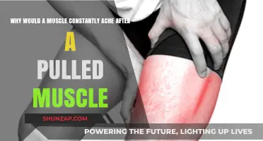 Persistent Muscle Ache After a Pull: Causes and Recovery Tips