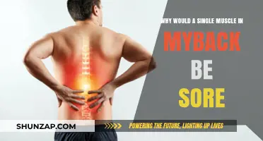 Why One Back Muscle Hurts: Causes and Relief Explained