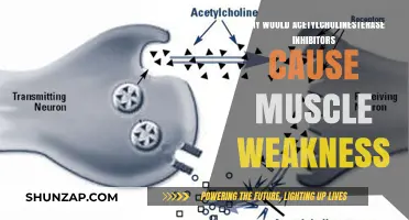 Acetylcholinesterase Inhibitors and Muscle Weakness: Understanding the Mechanism