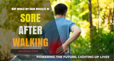 Why Walking Causes Back Muscle Soreness: Causes and Solutions