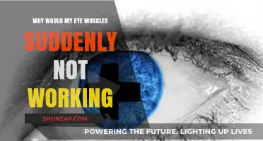 Sudden Eye Muscle Weakness: Causes, Symptoms, and When to Seek Help