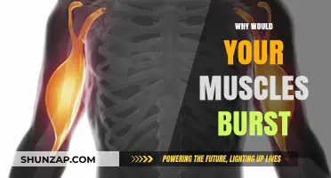 Muscle Rupture: When and Why Muscles Burst