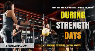 Maximize Strength Gains: Train Every Muscle Group for Balanced Power