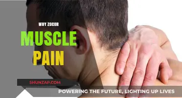 Understanding the Link Between Zocor and Muscle Pain: Causes and Solutions