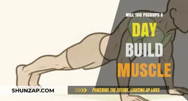 Pushups for Muscle Gain: Unlocking the Power of Daily Reps