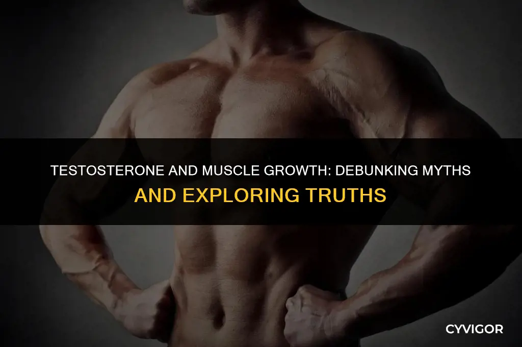 will 100mg of testosterone a week build muscle