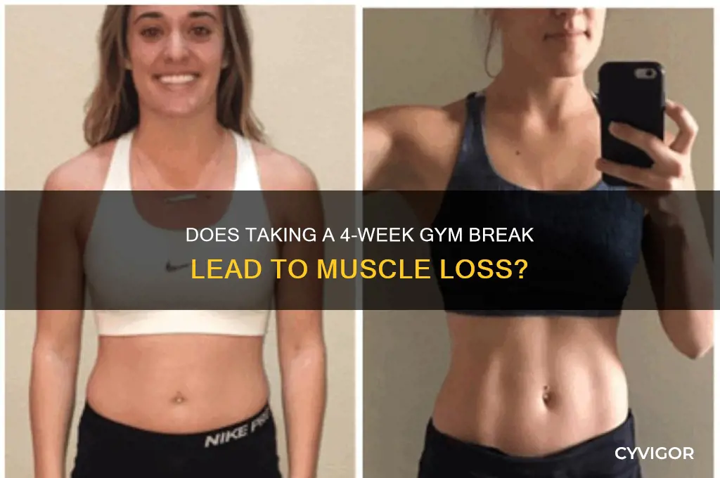 will 4 week no gym cause muscle loss