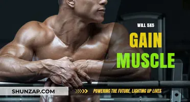 Can 5x5 Training Effectively Build Muscle Mass? A Comprehensive Guide
