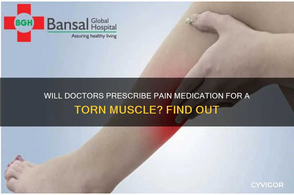 will a dr give pain meds for torn muscle