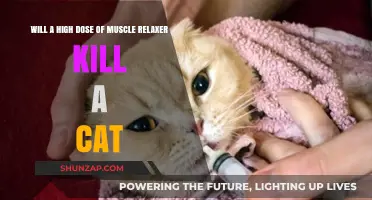 Can Muscle Relaxers Be Fatal to Cats? Dosage Dangers Explained