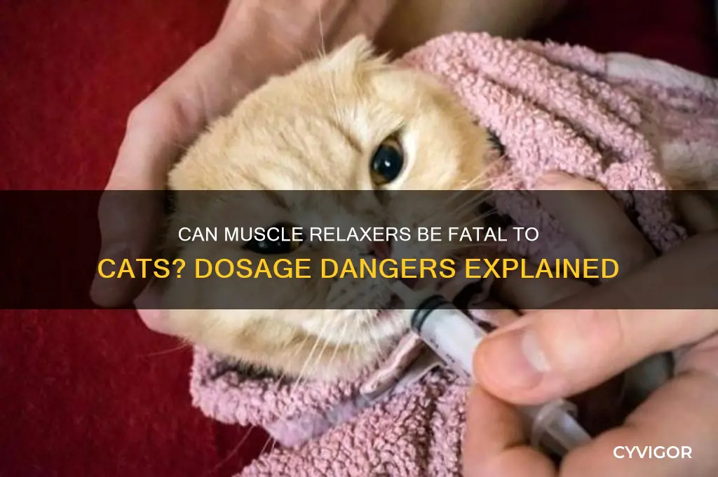 will a high dose of muscle relaxer kill a cat