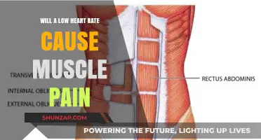 Low Heart Rate and Muscle Pain: Understanding the Connection