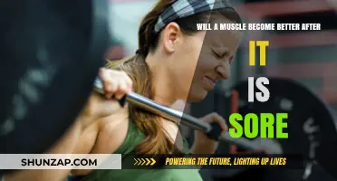 Does Muscle Soreness Lead to Strength Gains? Unraveling the Truth