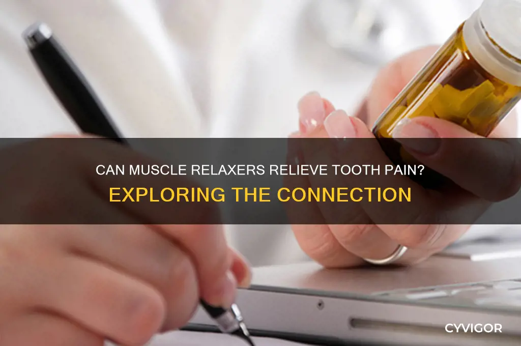 Can Muscle Relaxers Relieve Tooth Pain? Exploring The Connection | CyVigor